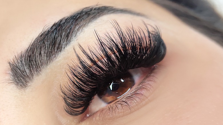 Long and thick lash extensions