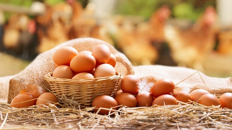 Brown eggs in wicker basket