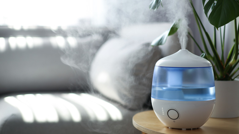 humidifier with a mist