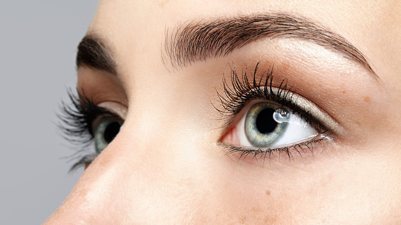 close-up of woman's gray eyes