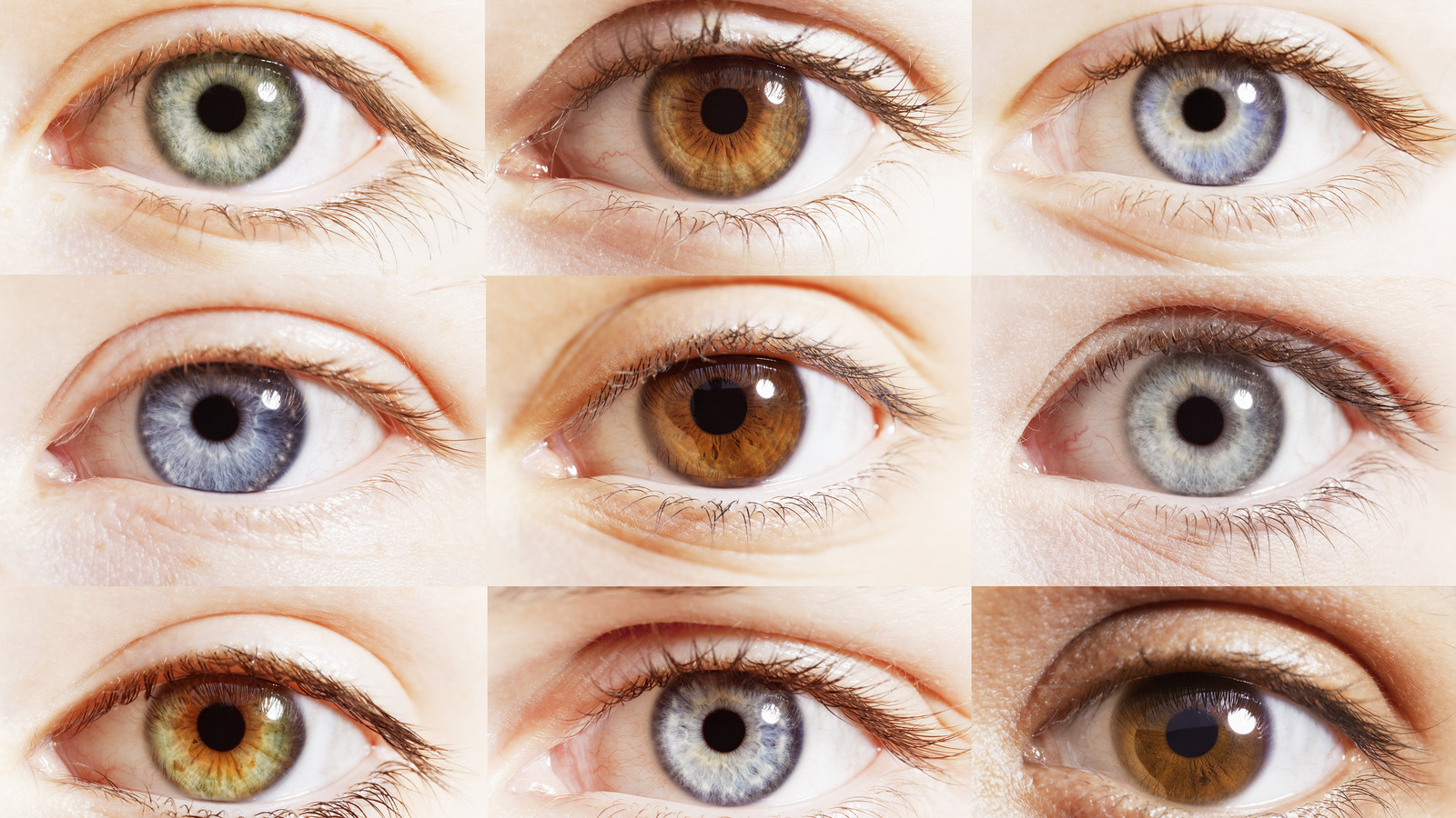Study Suggests Women Are More Attracted To Men With Brown Eyes