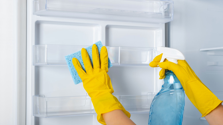 Gloved hands cleaning refrigerator
