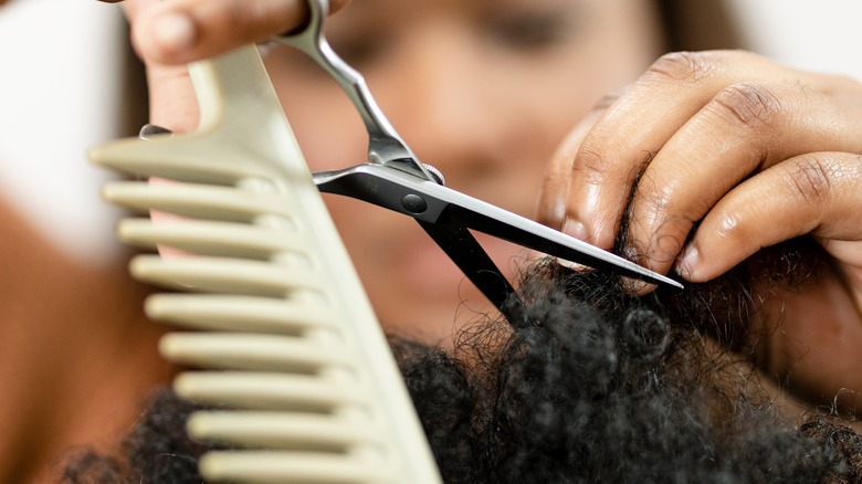 stylist trimming curly hair