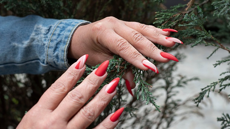 woman with red nails grabbing branch