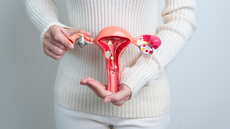 Woman holding model of uterus 