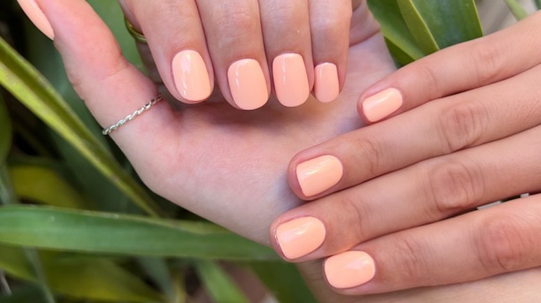 Pale peach orange square nails