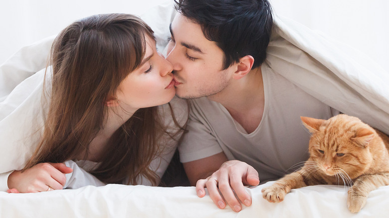 a couple snuggling under a blanket with their cat