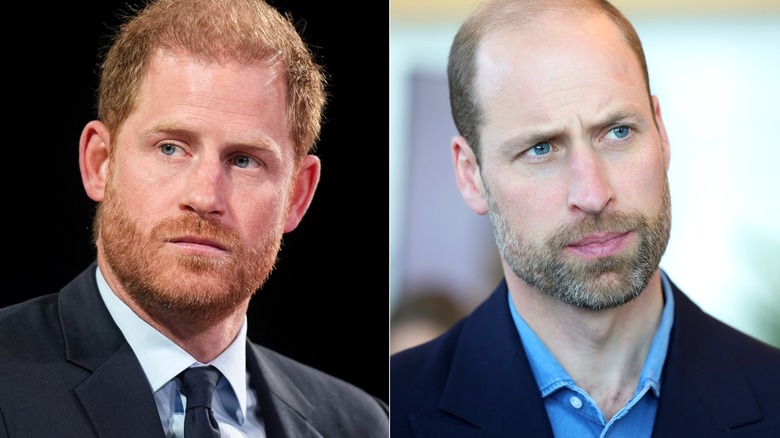 Side-by-side of Prince Harry and Prince William looking serious.