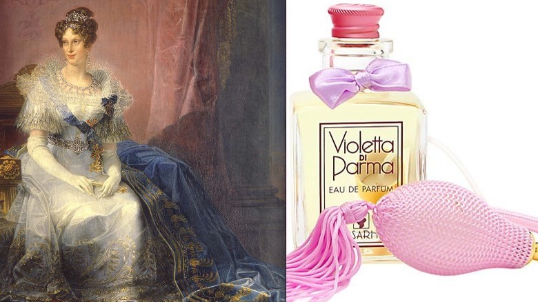 portrait of Marie Louise, Violetta di Parma fragrance