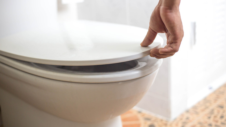 woman lifting toilet top