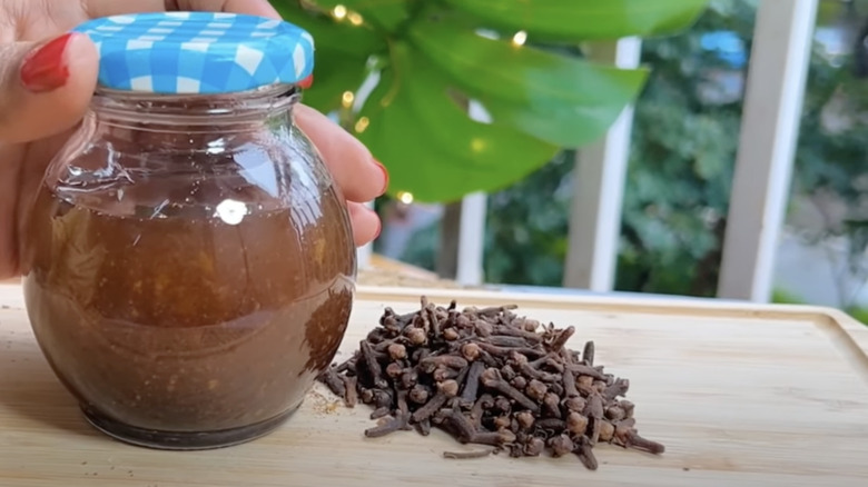 homemade clove oil in jar