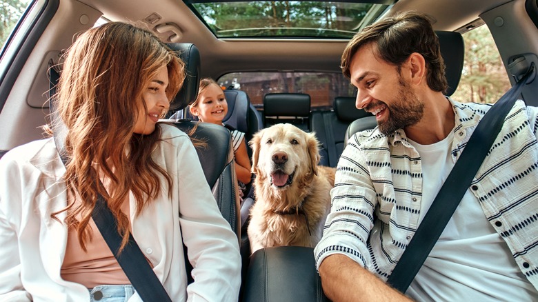 family riding in car with dog