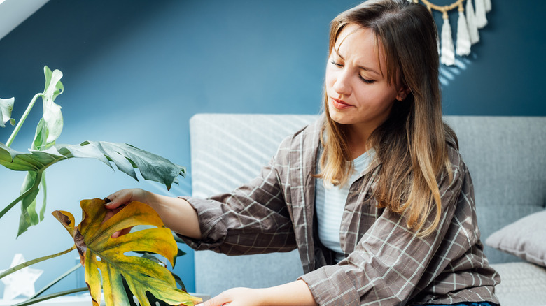 Woman with dead plant