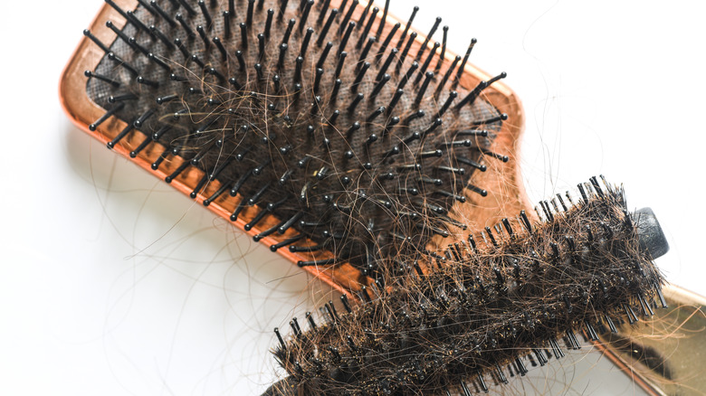 hairbrushes with hair in bristles