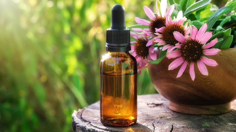 Echinecea tincture