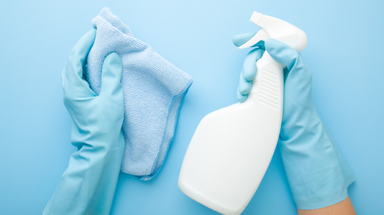 gloved hands holding cloth and spray bottle