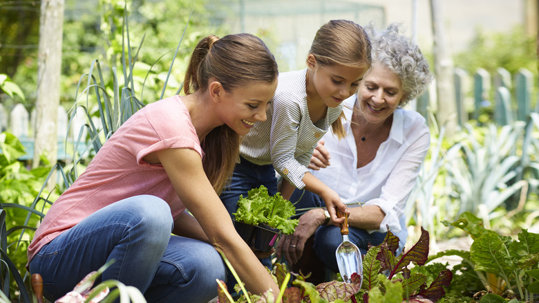 Woman gardening with mother-in-law