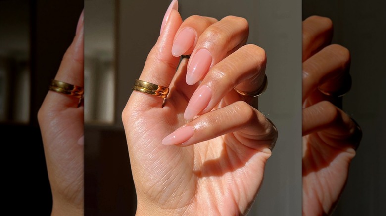 long oval-shaped sheer nude nails