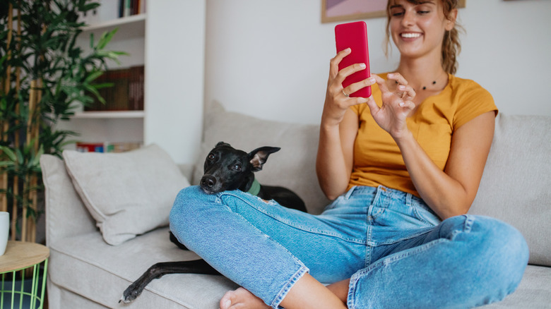 woman texting on phone with dog