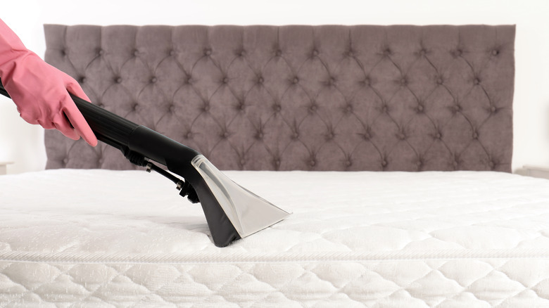 pink gloved hand cleaning mattress