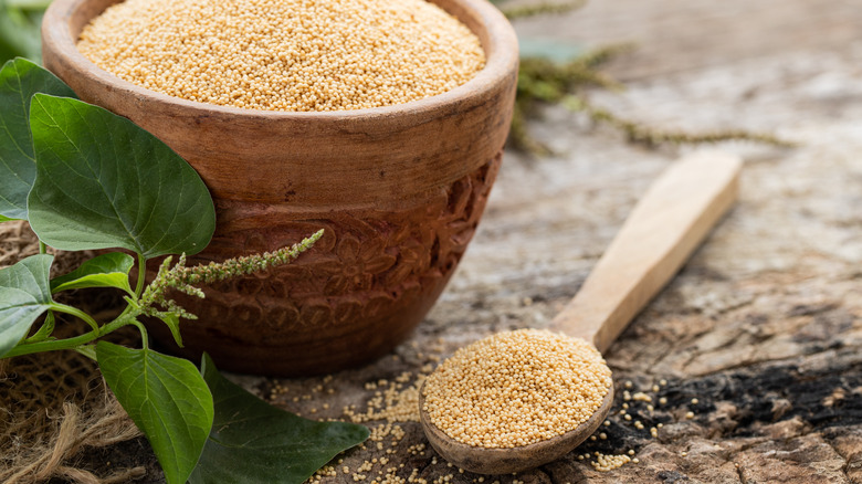 amaranth seed