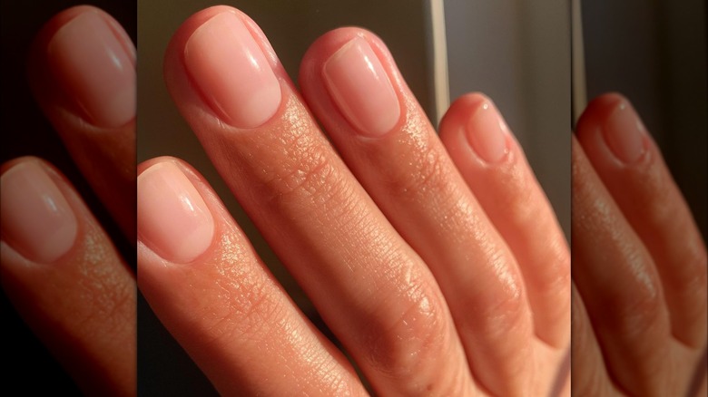 hand with short squoval nails