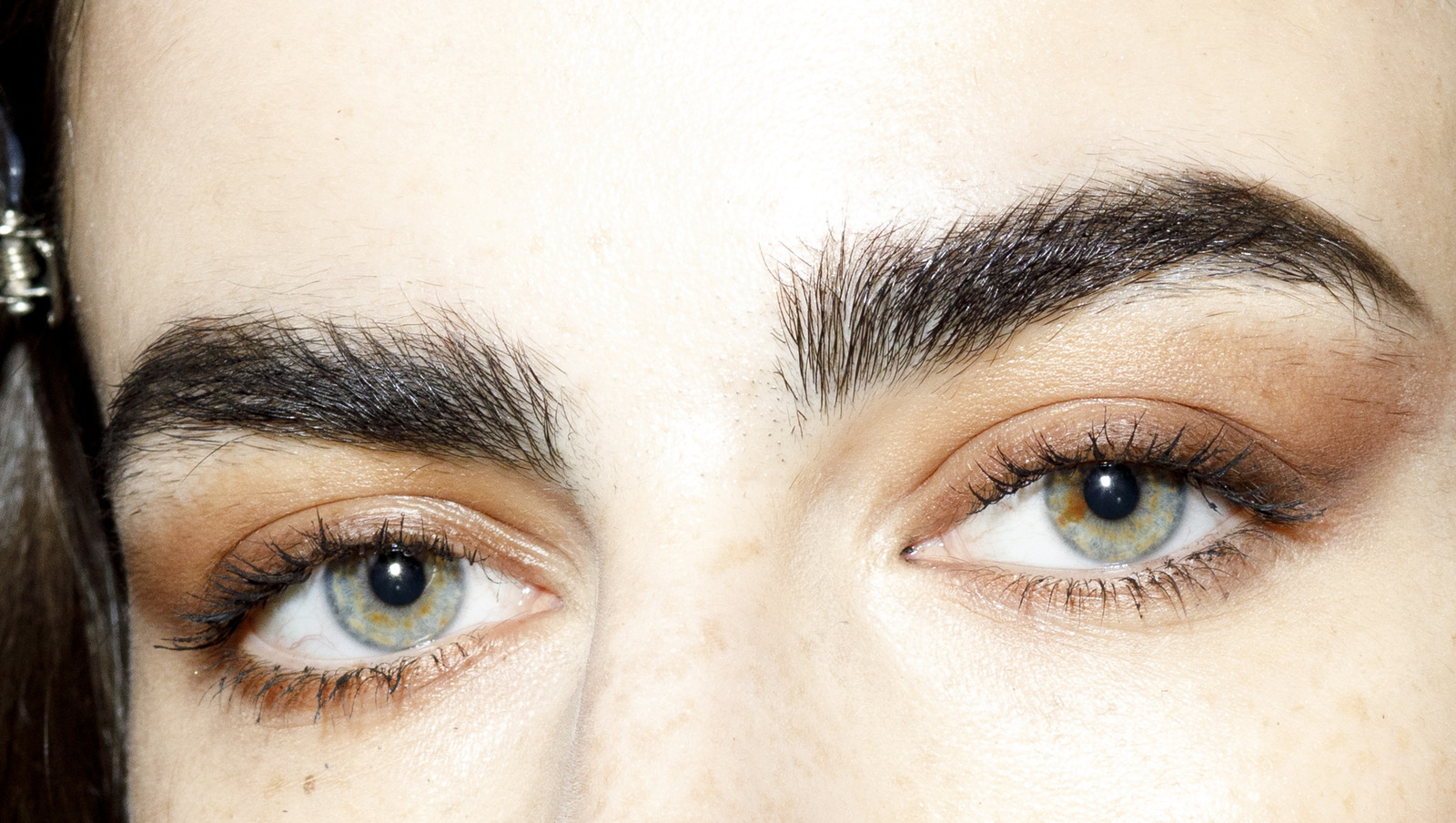 Bold brows 2024