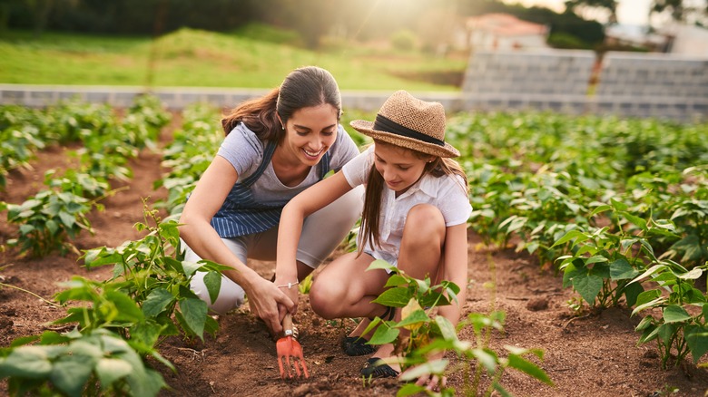 Woman and girl work in garden