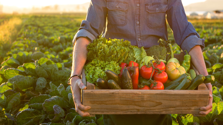 farmer holding box of fresh produce