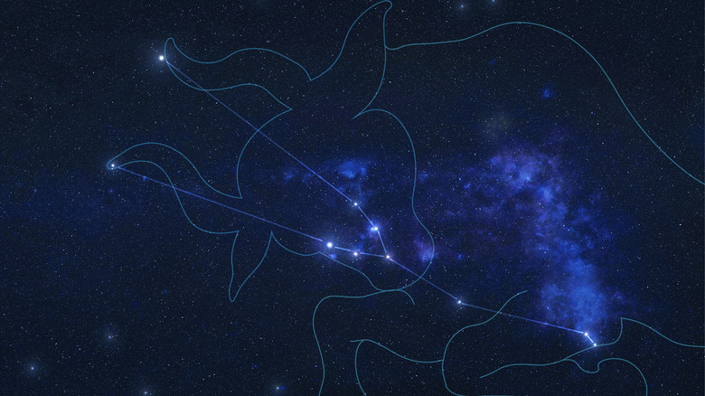 Taurus constellation