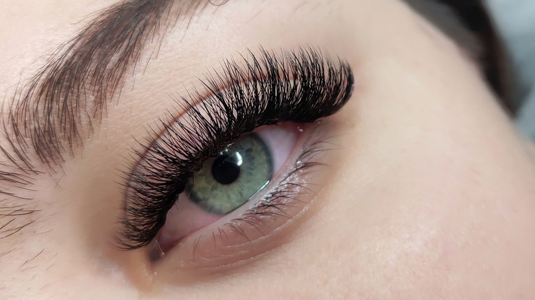 curled lashes