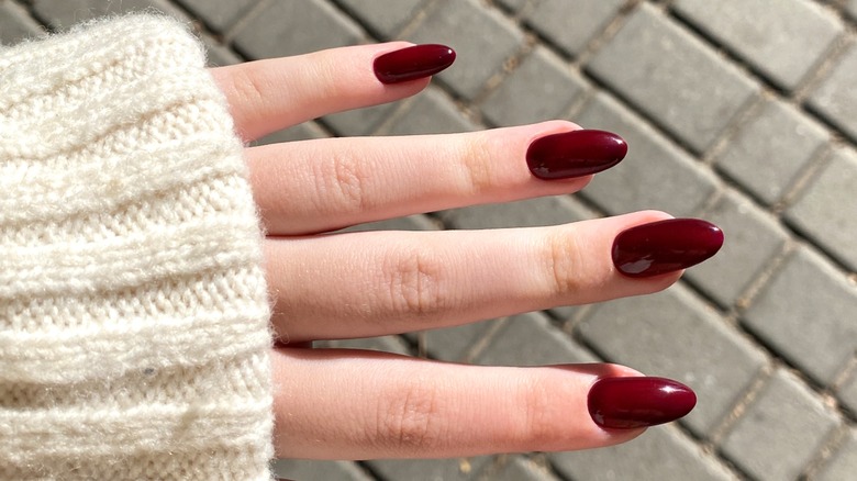 A woman's hand with a burgundy manicure.