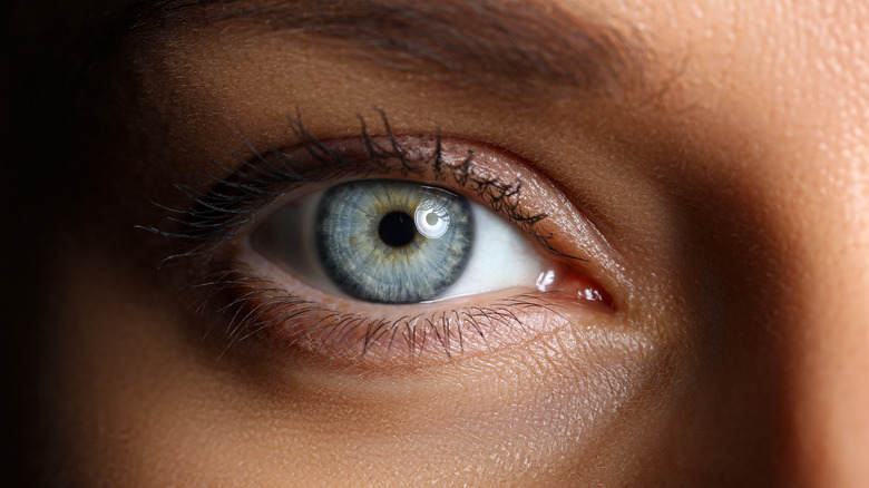 Close-up of a bright eye