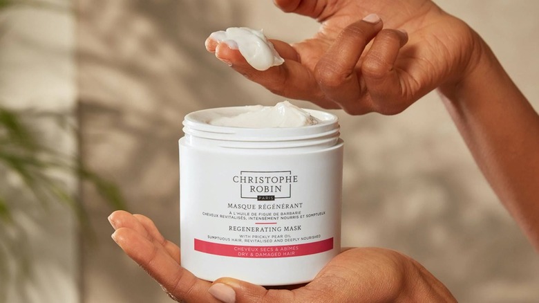 christophe robin regenerating hair mask