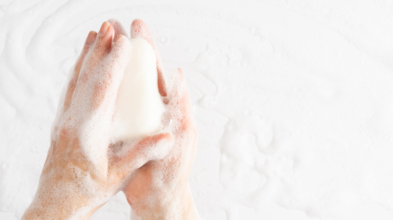 hands holding bar of sudsy soap