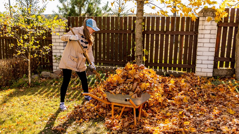 A woman raking leaves