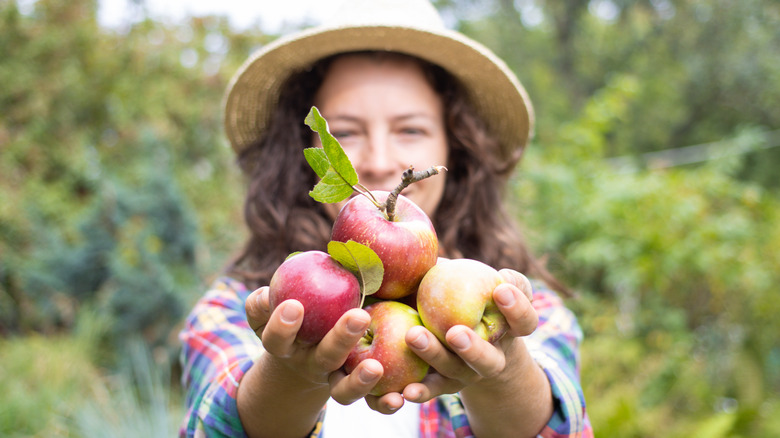 A woman holding apples