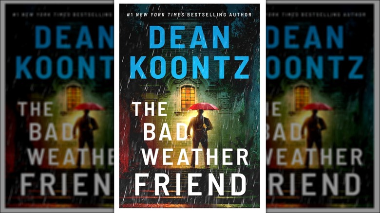 "The Bad Weather Friend" book cover