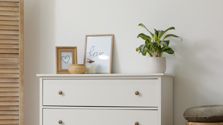 white dresser with a plant