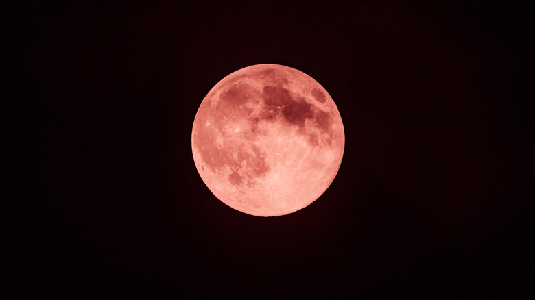 Strawberry Moon in night sky