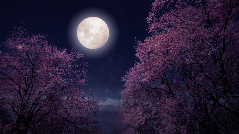 Flower moon