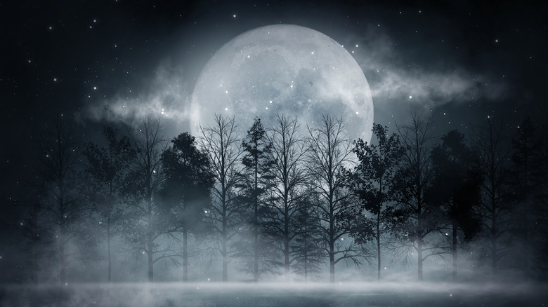 Cold moon