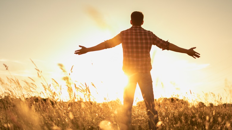 Person standing in sunny field