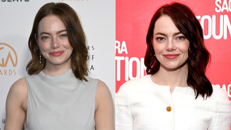 Brunette Emma Stone at red carpet events in 2024.