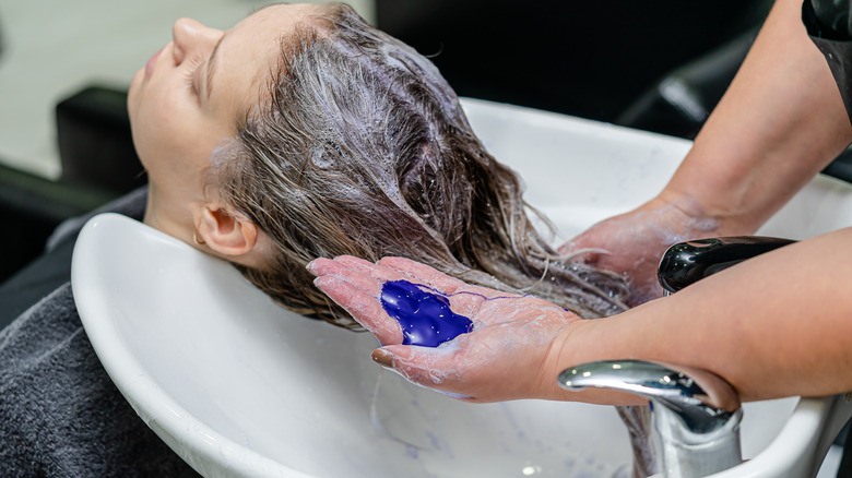 Professional stylist applies purple shampoo