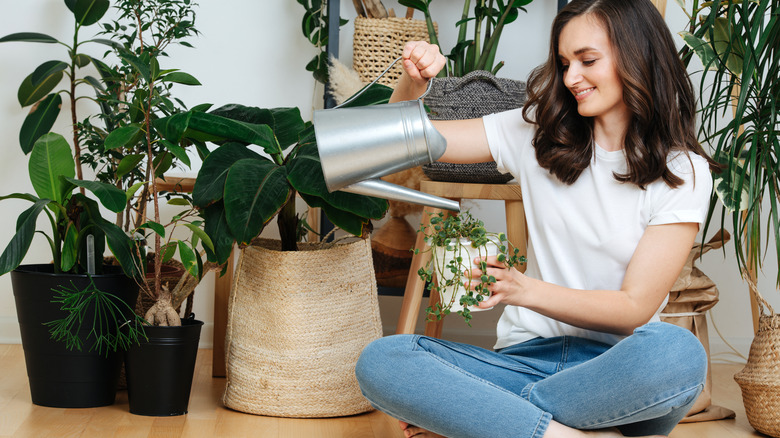 Woman waters houseplant