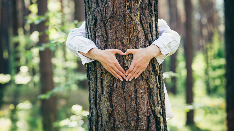 Woman hugs tree