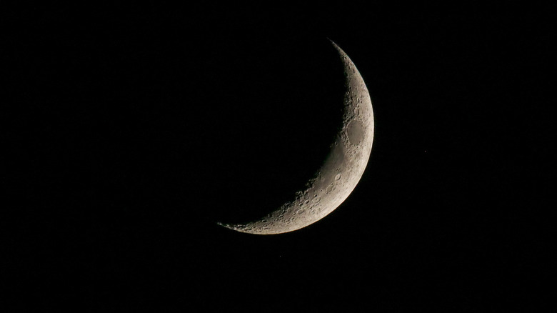 Waxing crescent moon, dark sky