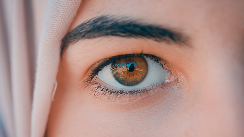 zoomed in hazel eye