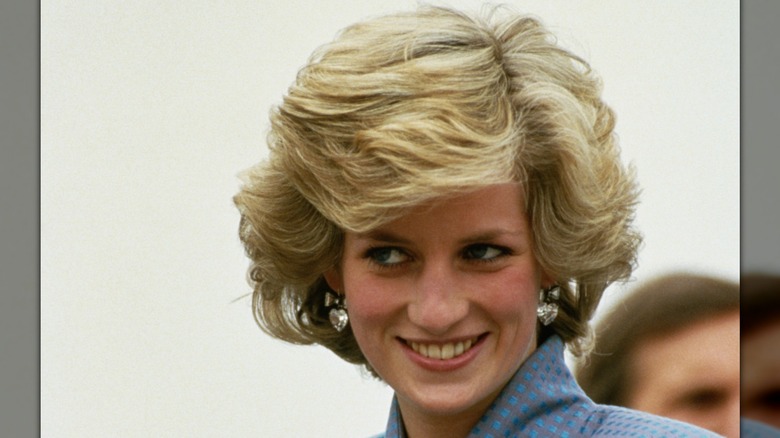 portrait of princess diana